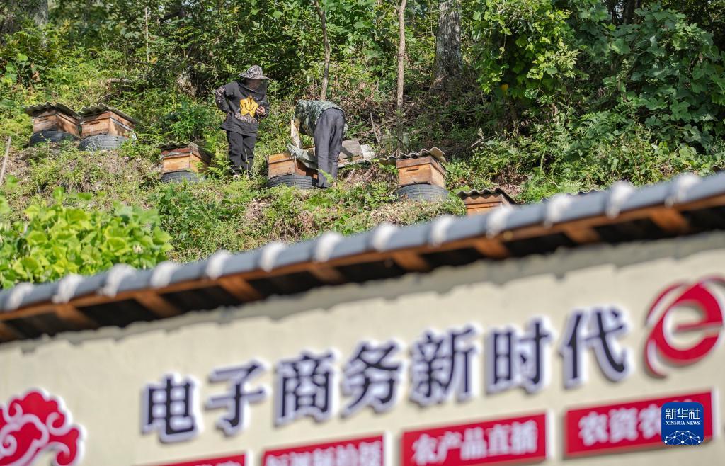澳门信誉赌场